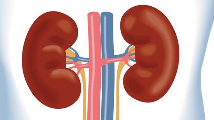 சிறுநீரகத்தில் பிரச்னை இருந்தால் க்ரீன் டீ குடிக்கலாமா?
