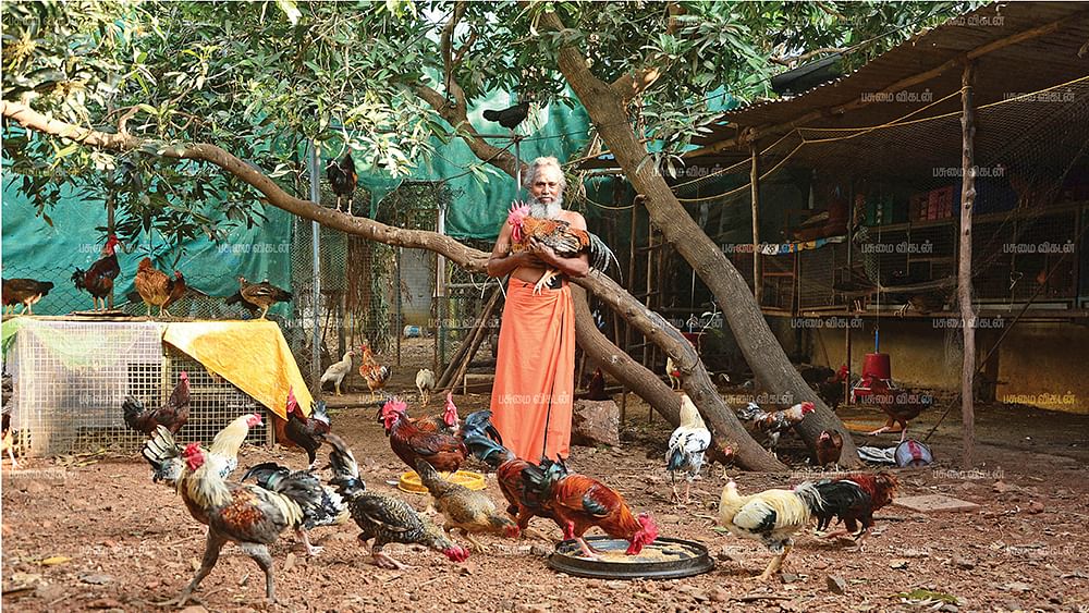 நாட்டுக்கோழிகளுடன் ராஜேந்திரன்