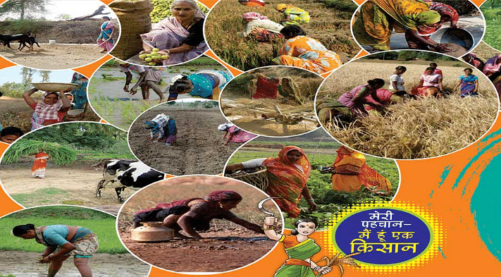 இயற்கை விவசாயத்தில் பெண் விவசாயிகள்