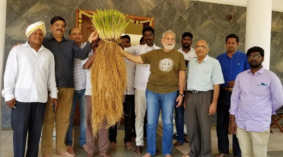 120 நாடுகளில் வெட்டிவேர் சாகுபடி; தாய்லாந்தில் 7-வது உலக மாநாடு... தனி வாரியம் கேட்கும் ஆர்வலர்கள்!