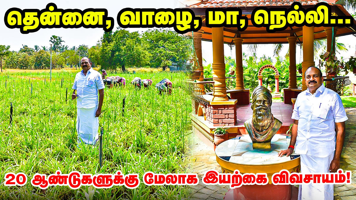 தென்னை, வாழை, மா, நெல்லி - 25 ஏக்கரில் தற்சார்பு விவசாயம்!