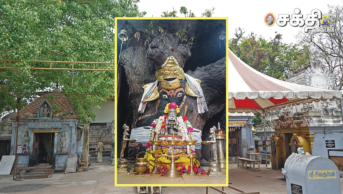 சகல சௌபாக்கியங்களும் அருளும் திருவிளக்கு பூஜை; கூடுவாஞ்சேரி மாமரத்து சுயம்பு விநாயகர் கோயிலில்! 