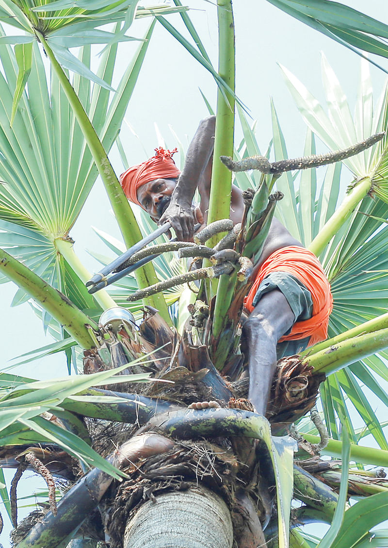 பாளை சீவும் பணி
