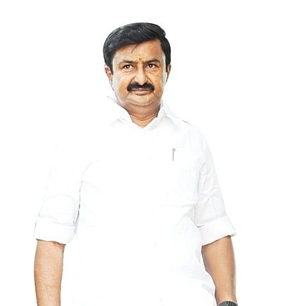 மு.பெ.சாமிநாதன்