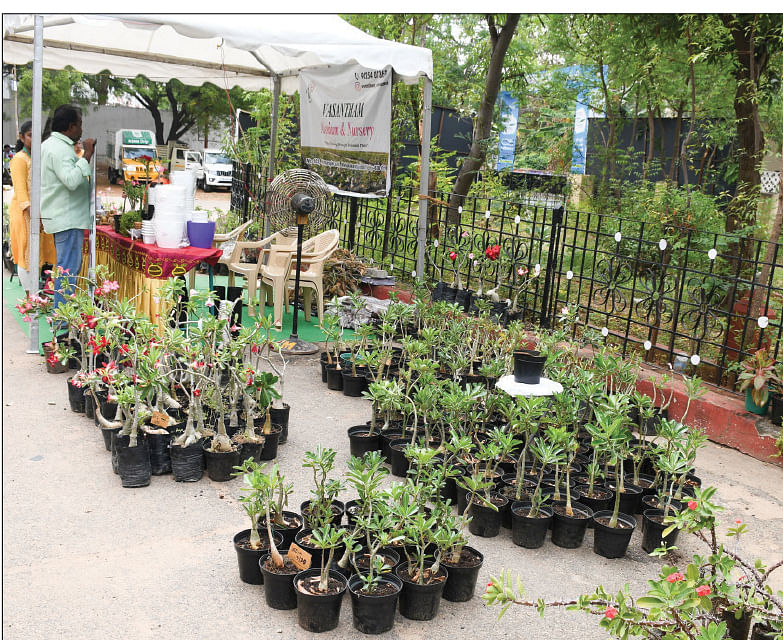 பசுமை விகடன் அக்ரி எக்ஸ்போ.