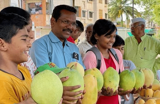சரத்பவார் மாம்பழம்