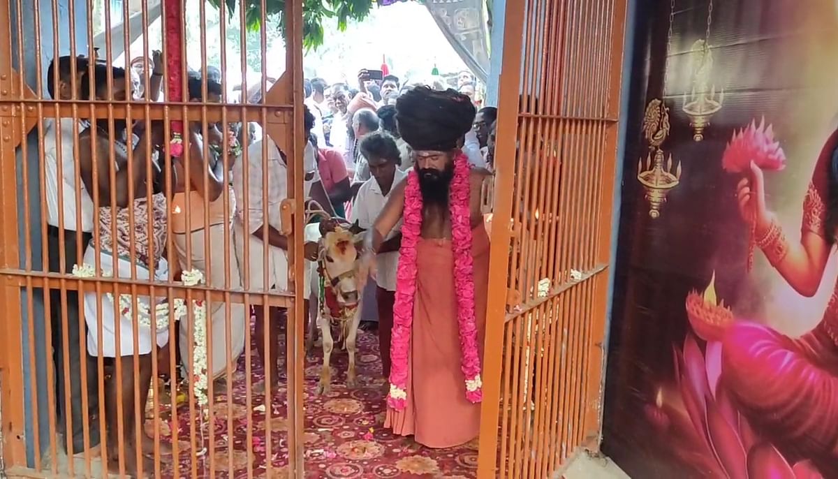 சட்டநாதர் சுவாமி கோயிலில்     திறக்கப்பட்ட மேற்குக் கோபுர வாசல் 