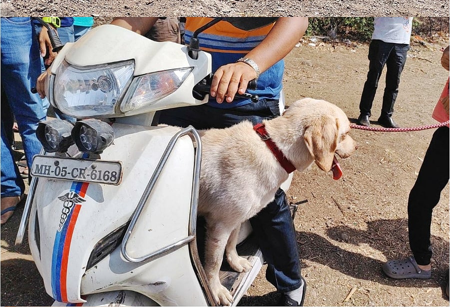 குளத்தைப் பார்த்து `சிக்னல்' கொடுத்த நாய்; சகோதரன், சகோதரி பிணமாக மீட்பு - என்ன நடந்தது?