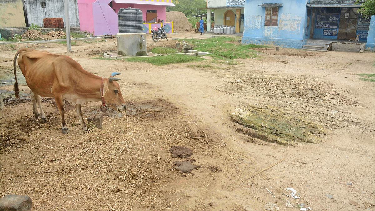 பேவர் பிளாக் ரோடு அமைக்கப்பட்டதாக கூறப்படும் இடம்