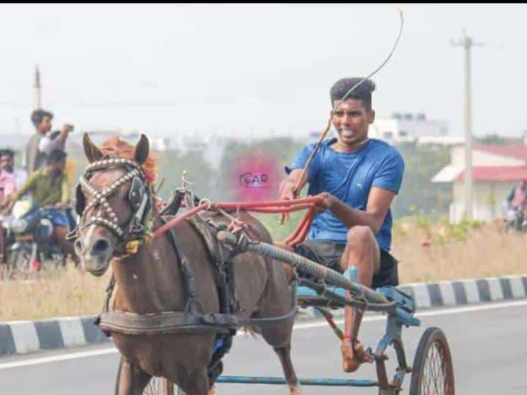 திருச்சி: பட்டப்பகலில் ஓட ஓட வெட்டிக் கொல்லப்பட்ட வாலிபர் - குதிரை ரேஸ் முன்பகை காரணமா?!