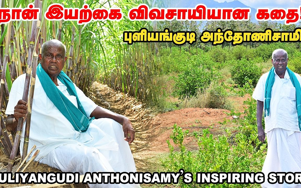 அன்று 45 லட்சம் கடன்... இன்று 400 ஏக்கரில் விவசாயம்; அசரவைக்கும் புளியங்குடி அந்தோணிசாமி!