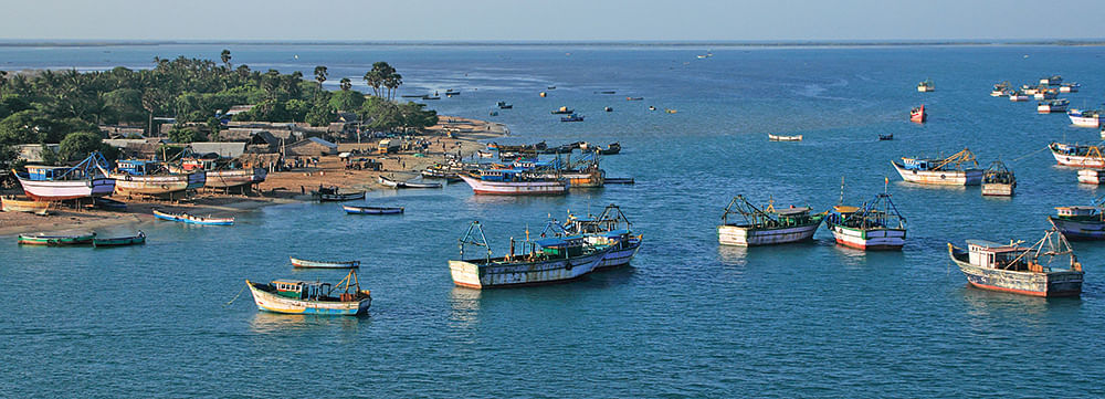 மீன்பிடி படகுகள்