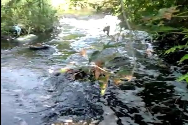 தாமிரபரணி ஆற்றுக்குள் செல்லும் கழிவுநீர்