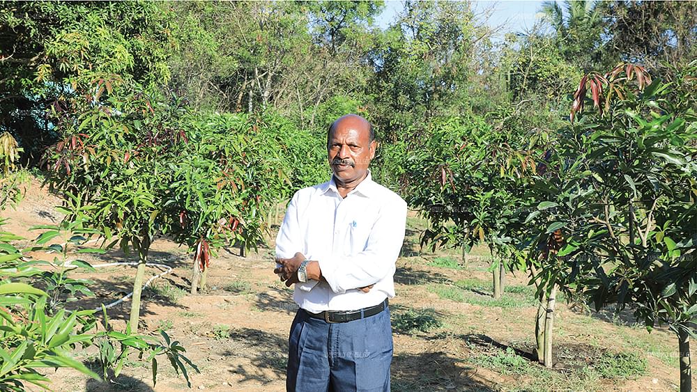 பண்ணையில் கிருஷ்ணன்