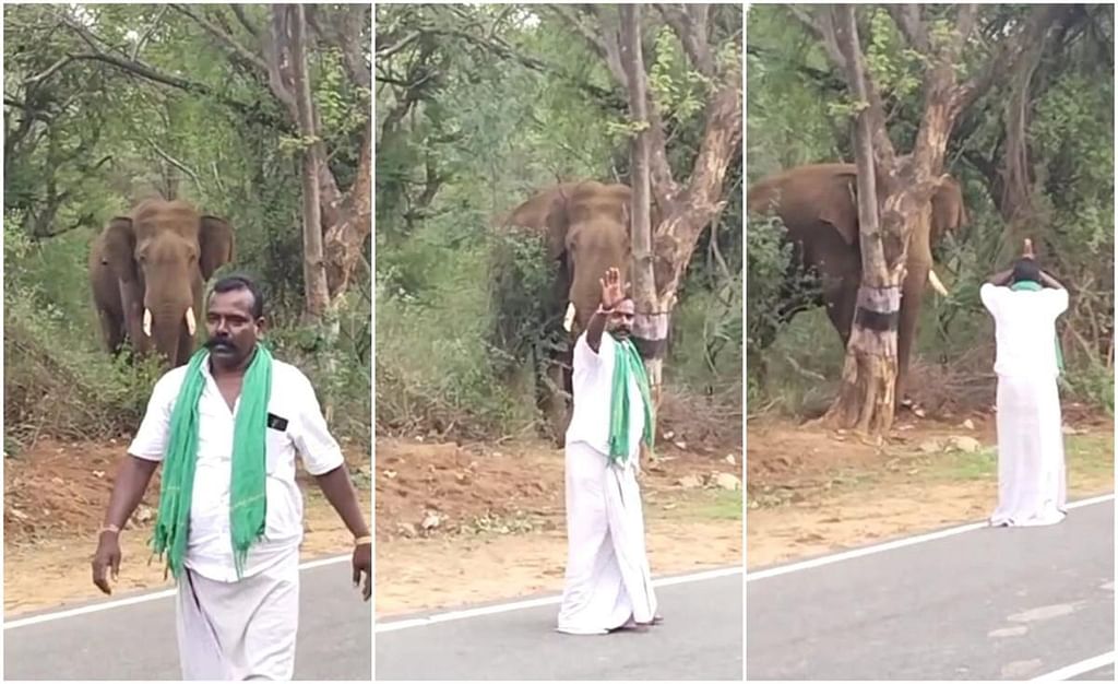 யானையின் முன்பு மீசை முருகேசன்