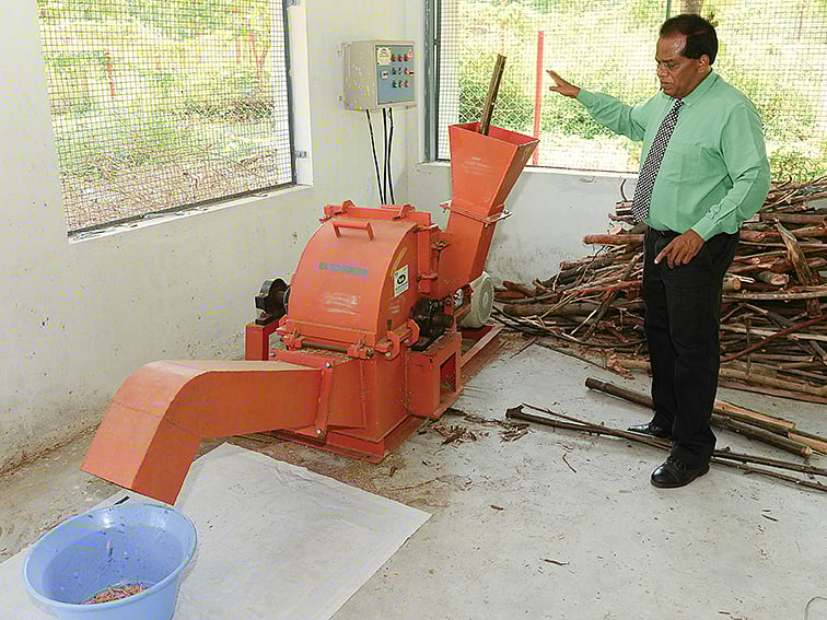 ரூ.4 லட்சம்; மூங்கில்முதல் மலைவேம்பு வரை...இரண்டே ஆண்டுகளில்வளமான வருமானம்! - 08