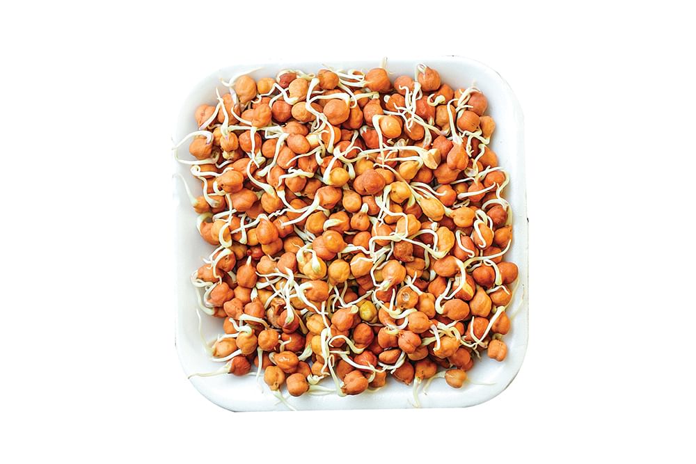 ஆரோக்கியம் ஒரு பிளேட்