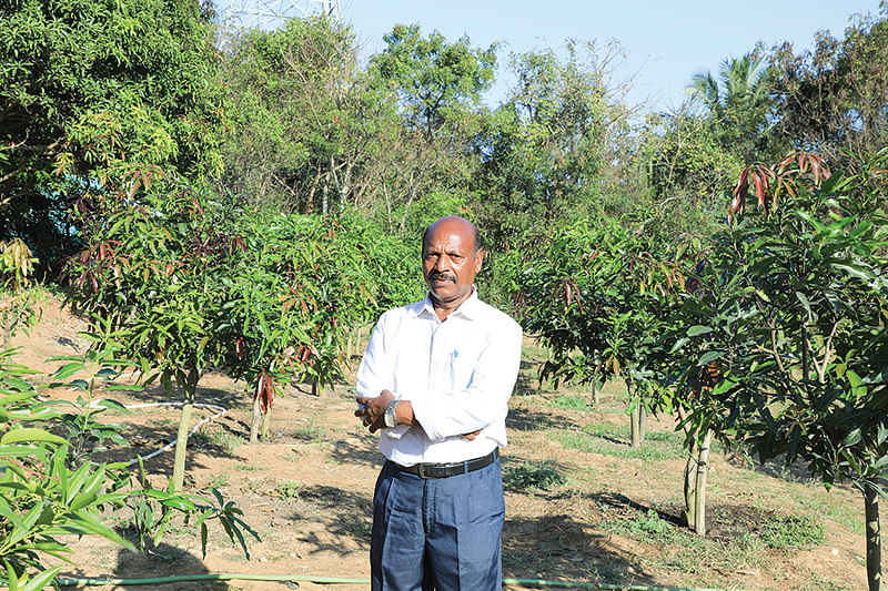 பண்ணையில் கிருஷ்ணன்