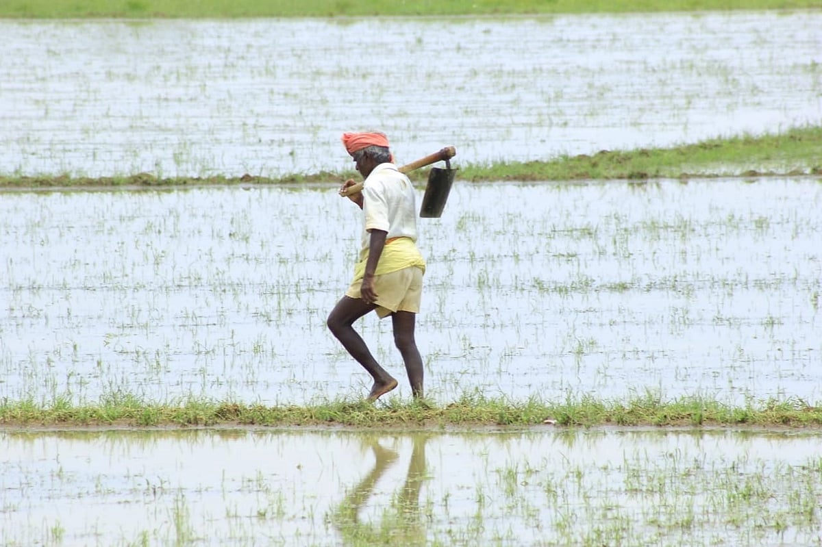 அடமானம் இல்லா கடன்; குறைந்த வட்டி... வீட்டுக்கே வரும் உழவர் கடன் அட்டை..!