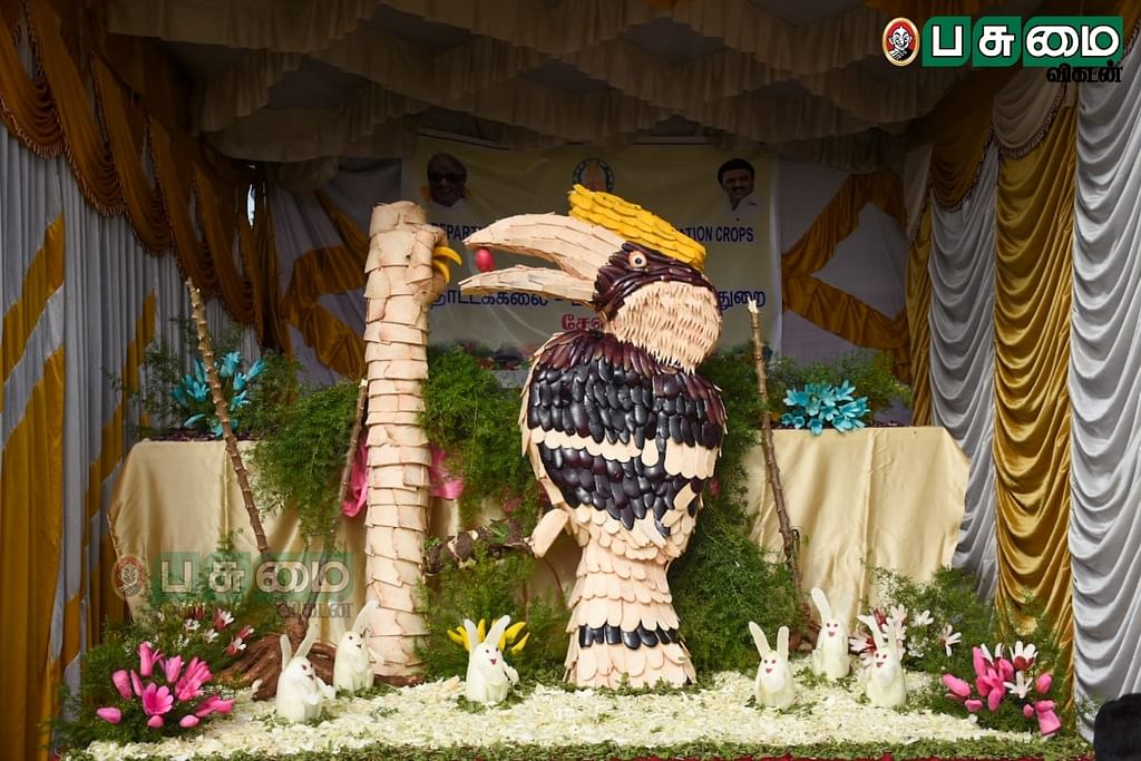 காய்கறி கண்காட்சி