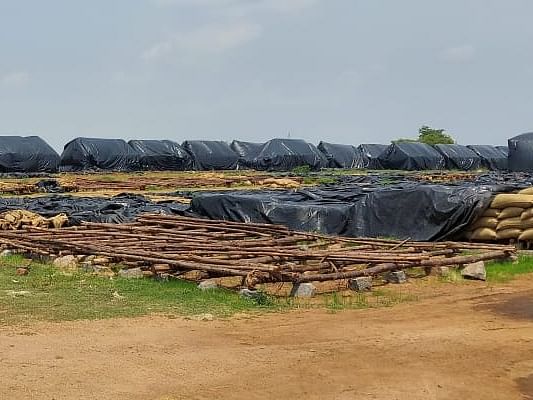 தருமபுரி: ரூ.14 கோடி மதிப்பிலான 7,000 டன் நெல் மாயம்? - திமுக அரசைச் சாடும் இபிஎஸ்... என்ன நடந்தது?