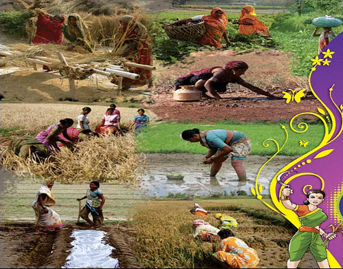 இயற்கை விவசாயத்தில் பெண் விவசாயிகள்