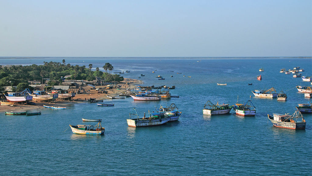 மீன்பிடி படகுகள்