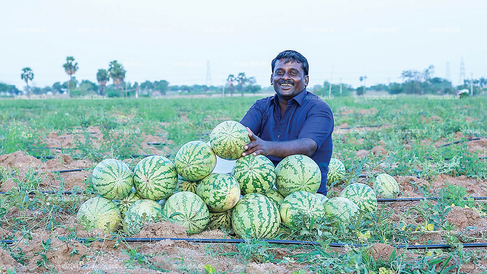 தர்பூசணி வயலில் ஶ்ரீதர்