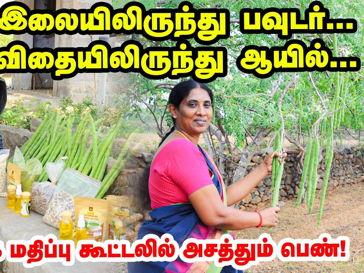 இலையிலிருந்து பவுடர்...
விதையிலிருந்து ஆயில்... முருங்கை மதிப்புக்கூட்டலில் அசத்தும் பெண்!