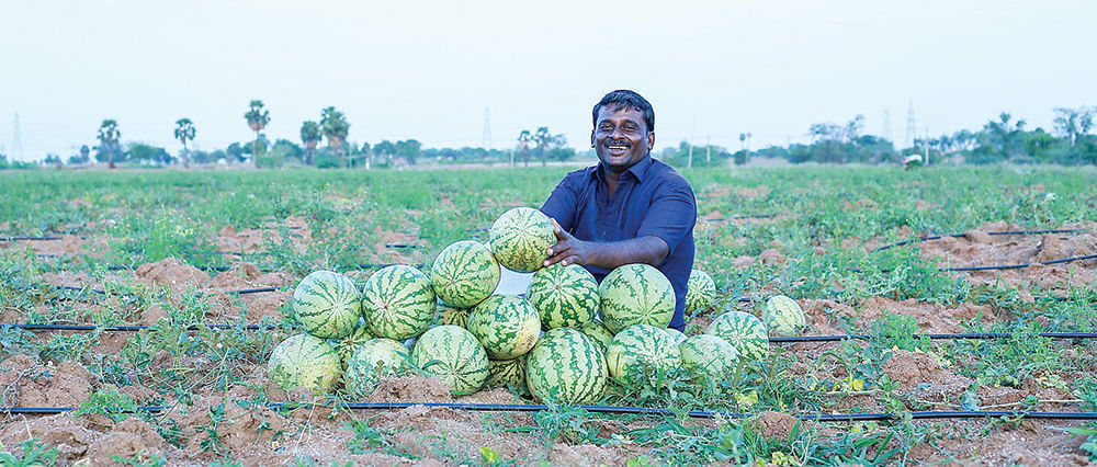 தர்பூசணி வயலில் ஶ்ரீதர்
