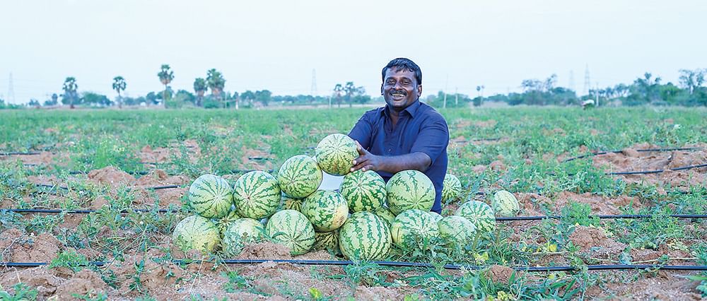 தர்பூசணி வயலில்  ஶ்ரீதர்