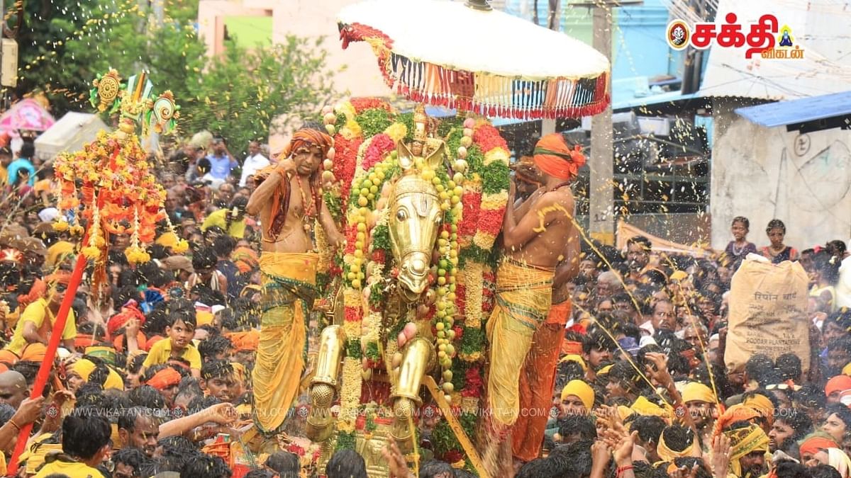 பரமக்குடி வைபவம் - 
வைகையில் இறங்கிய கள்ளழகர்!