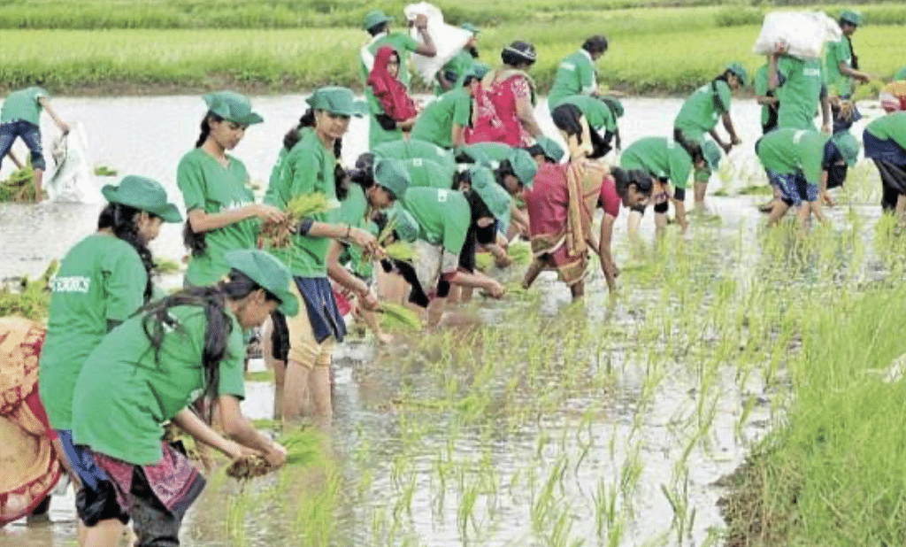 வேளாண் படிப்பு
