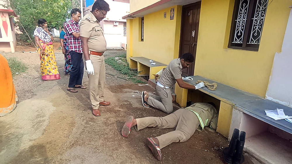 நாய் மீட்பு