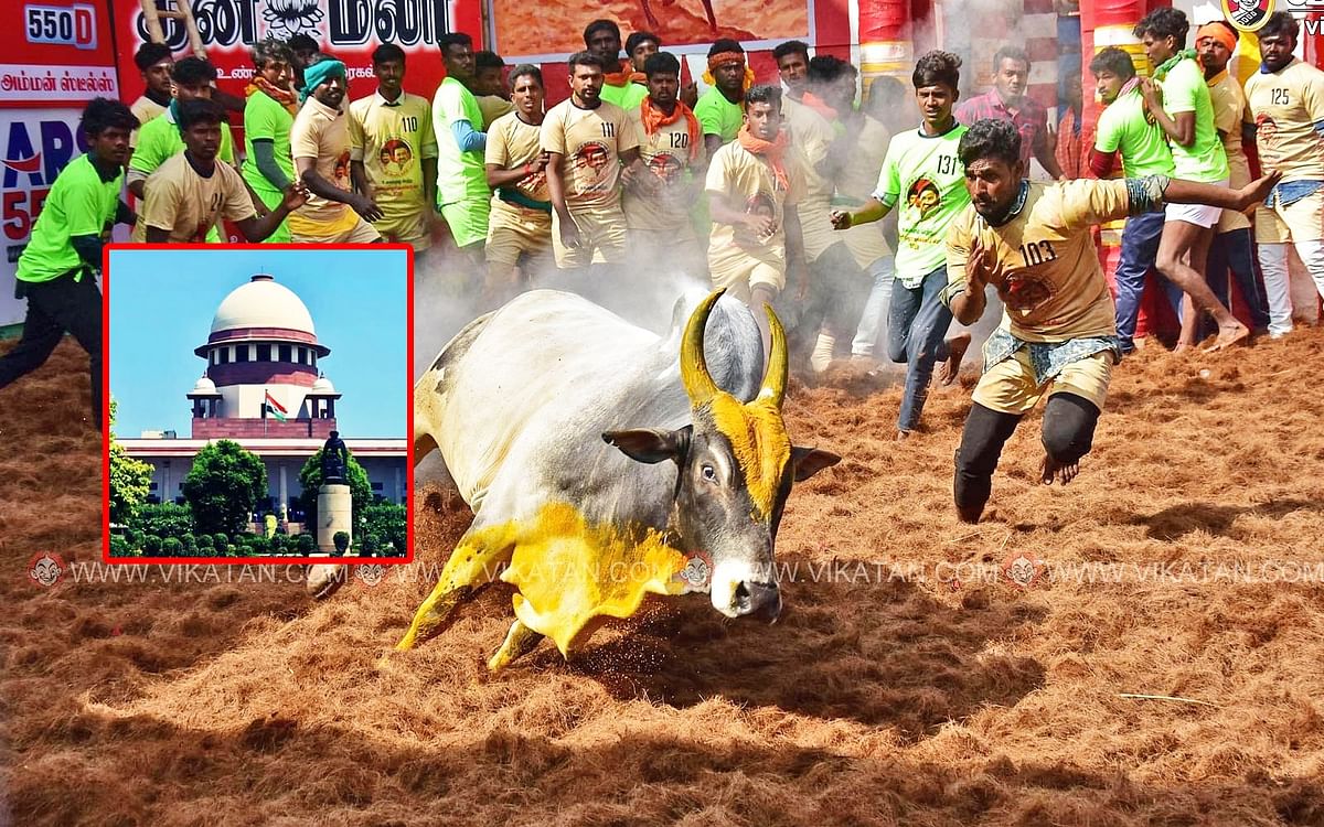 ஜல்லிக்கட்டுக்கு எதிரான மனு: `ஆவணங்கள் திருப்தி; தடைவிதிக்க முடியாது’ - உச்ச நீதிமன்றம் தீர்ப்பு