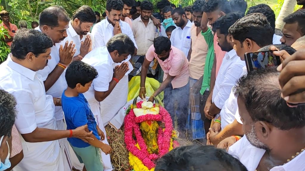 புதுக்கோட்டை: ஜல்லிக்கட்டில் காயமடைந்த கருப்பு கொம்பன் காளை உயிரிழப்பு - கலங்கிய விஜயபாஸ்கர்