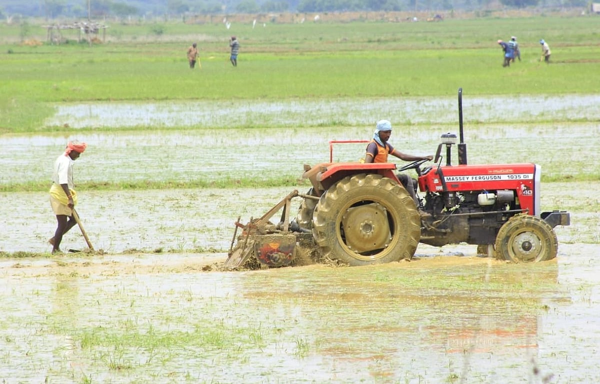 விதை, தேனி பெட்டிகள்; 50 % மானியம்... தோட்டக்கலை இயக்க திட்டத்தில் பயன்பெற அழைப்பு!
