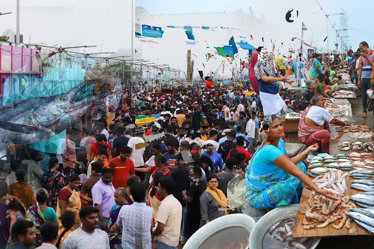 வகை வகையான மீன்கள், வாங்கக் குவிந்த மக்கள்! - காசிமேடு சண்டே ரவுண்ட்அப் | புகைப்படத் தொகுப்பு