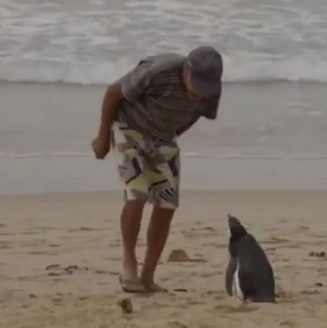 Joao Pereira de Souza