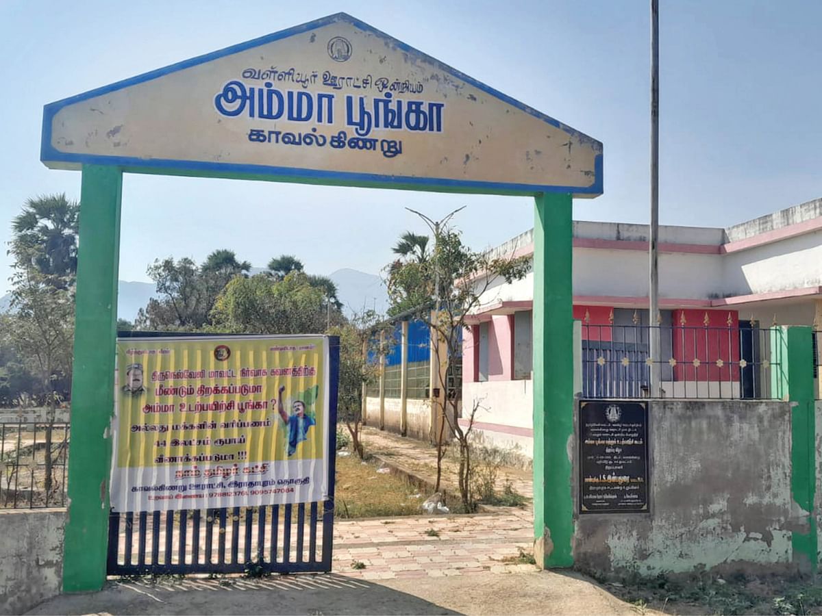 அம்மா பூங்கா