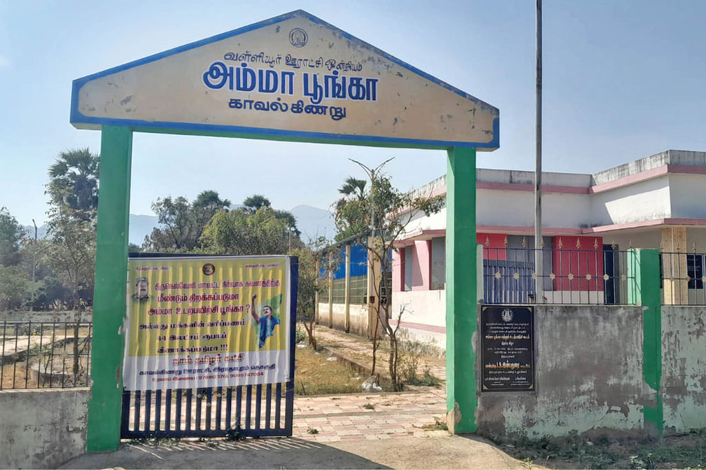 அம்மா பூங்கா