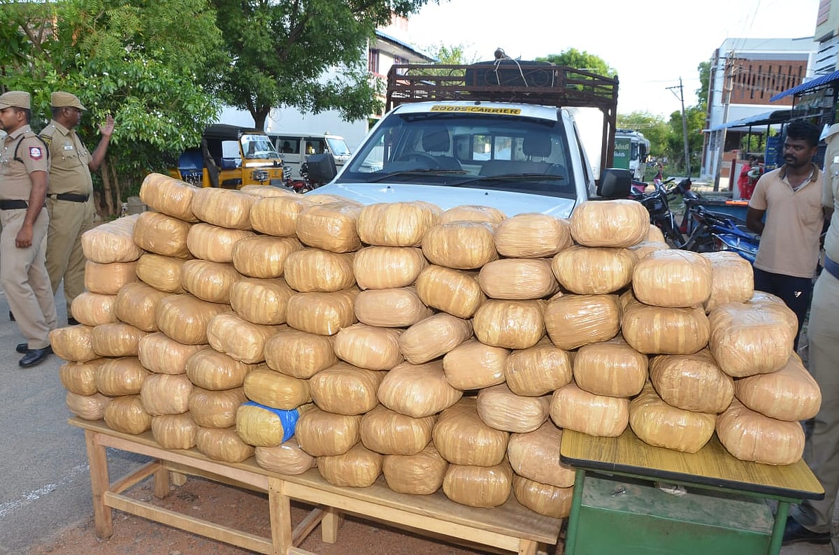 புதுக்கோட்டை: `காய்கறிகளை ஏற்றிச் செல்கிறோம்' -
409 கிலோ கஞ்சா பண்டல்களை மடக்கிப்பிடித்த போலீஸ்!