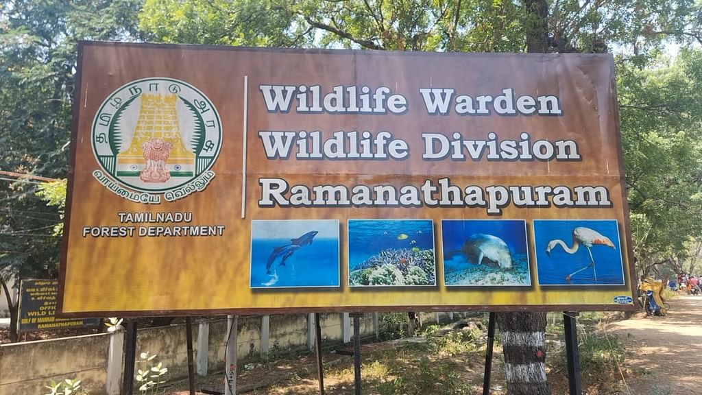 ராமநாதபுரம் வனத்துறை அலுவலகம்