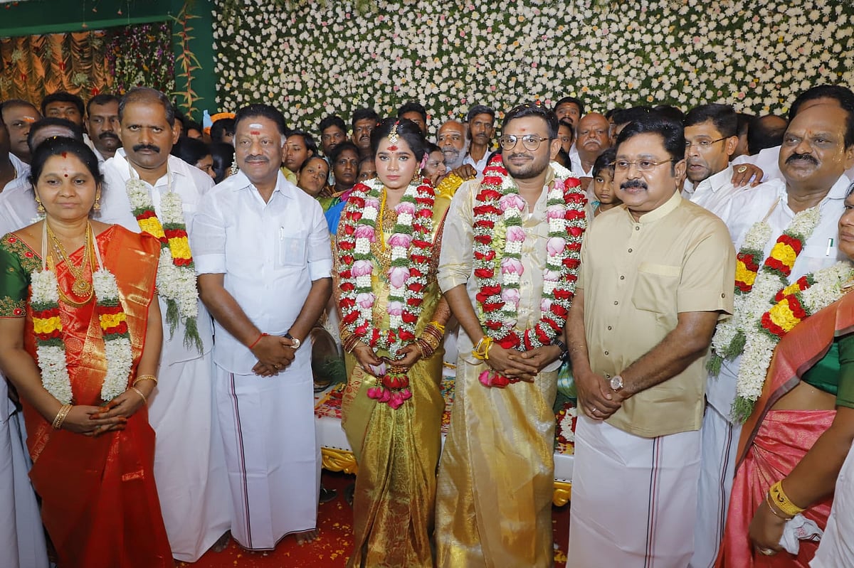 `டி.டி.வி சார்... நாம் களத்தில் இறங்கி விளையாடினால்!' - வைத்திலிங்கம் மகன் திருமணத்தில் ஓபிஎஸ்