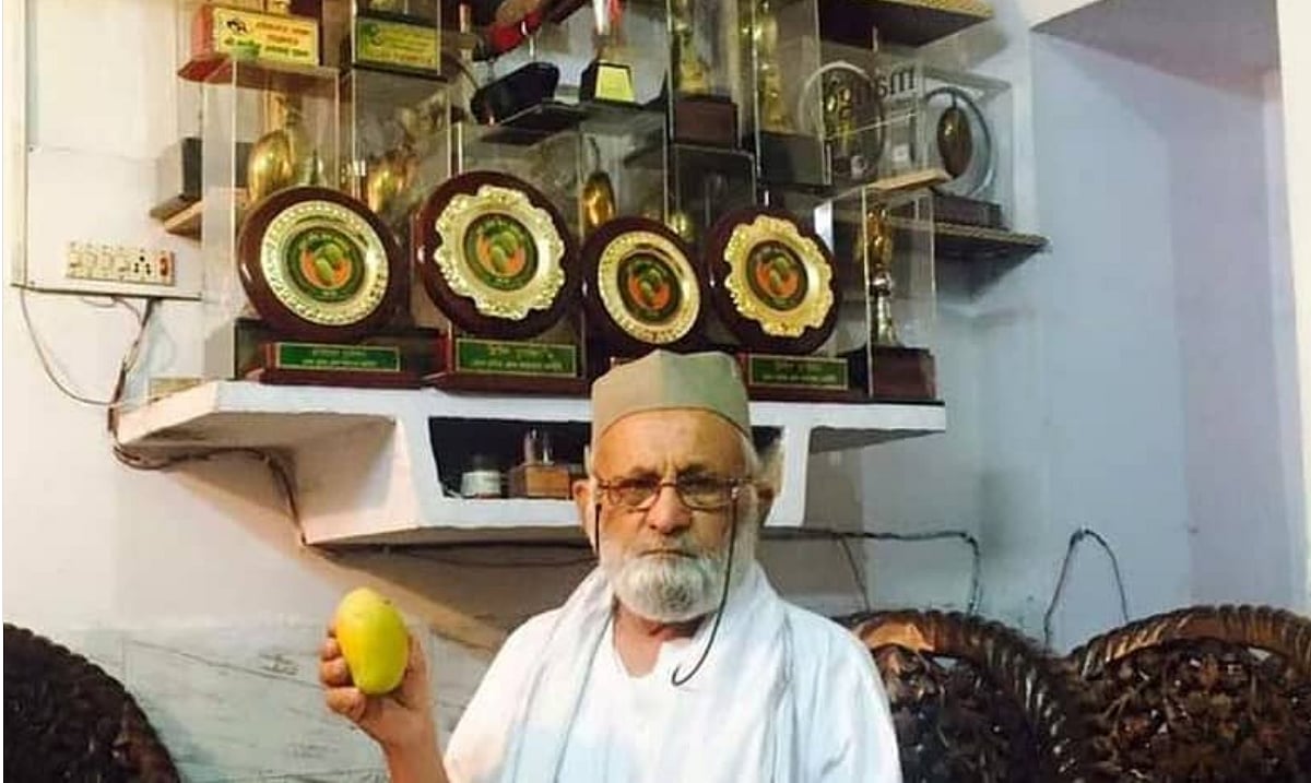 7-ம் வகுப்பை தாண்டவில்லை... 
ஒரே மரத்தில் பல ரகங்களை உருவாக்கிய மாம்பழ மனிதர்..!