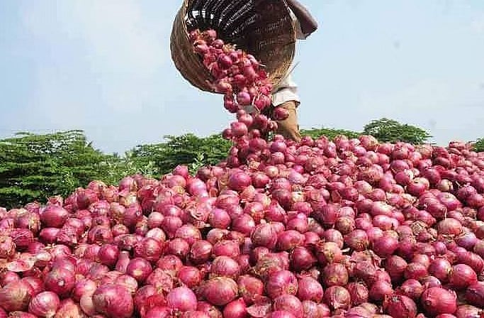 கதிர்வீச்சு தொழில்நுட்பத்தில் வெங்காயத்தை சேமிக்கும் மத்திய அரசு... பாதுகாப்பான தொழில்நுட்பமா?