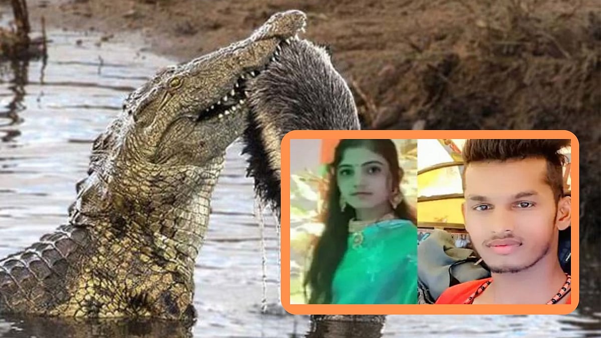 காதல் திருமணம்: கொலைசெய்யப்பட்டு முதலைகளுக்கு உணவாக்கப்பட்ட தம்பதி - ம.பி அதிர்ச்சி 