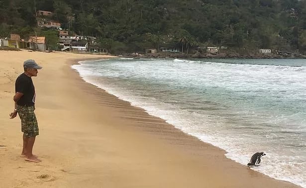 Joao Pereira de Souza