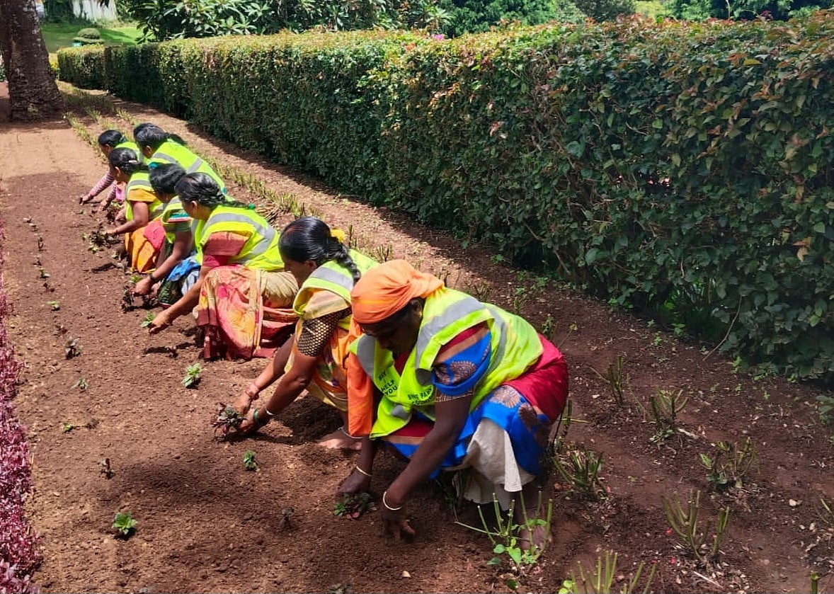 ஊட்டி: 75 ரகங்கள், 2 லட்சம் மலர் நாற்றுகள்; சீஸனுக்குத் தயாராகும் சிம்ஸ் பூங்கா!