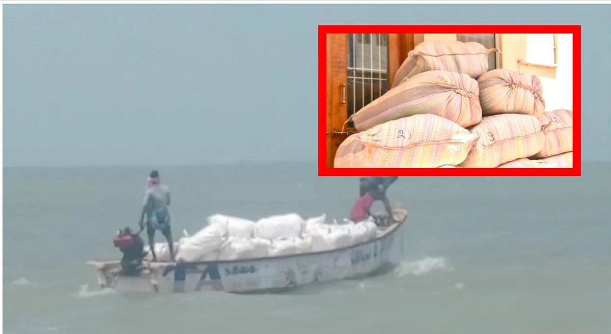 தூத்துக்குடி: படகில் இலங்கைக்கு பீடி இலை கடத்தல்; போலீஸைப் பார்த்ததும் கடலில் நீந்தி தப்பிய கும்பல்!